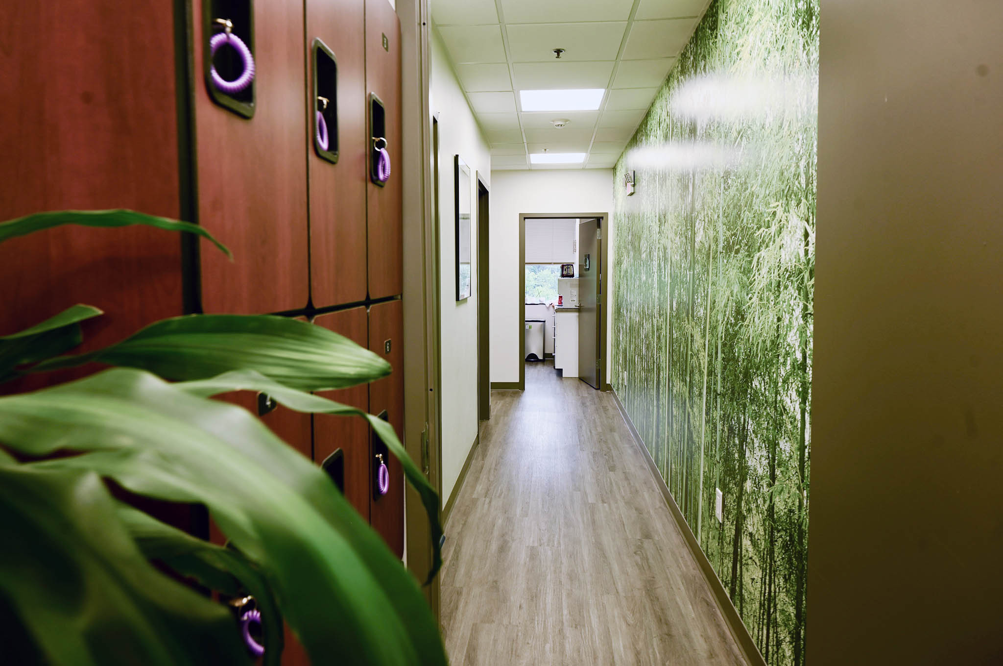 The image shows an interior hallway with walls covered in green leafy wallpaper, a patterned floor, and a long row of lockers with labels on the fronts.